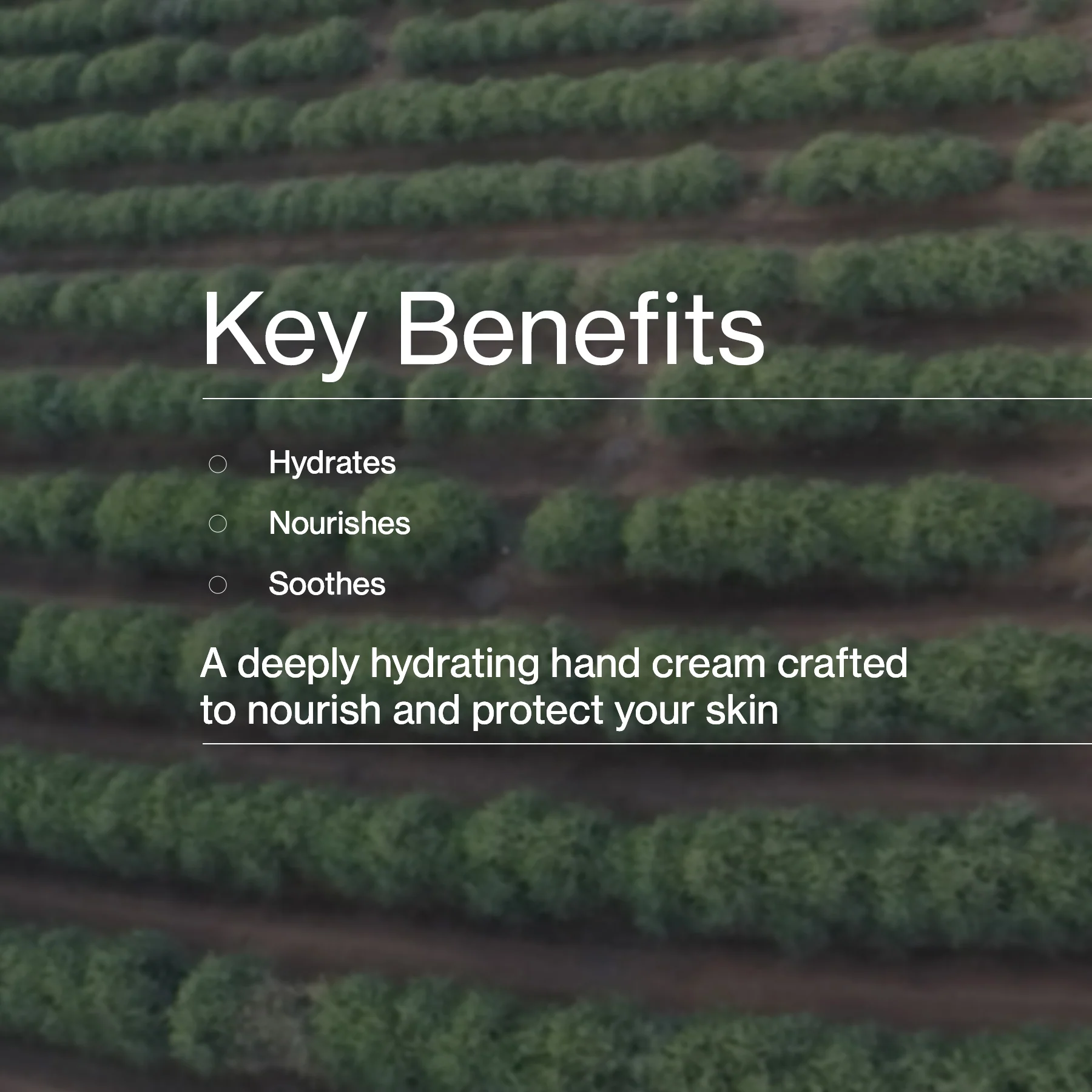 Australian Jojoba Hand Cream - Image 5