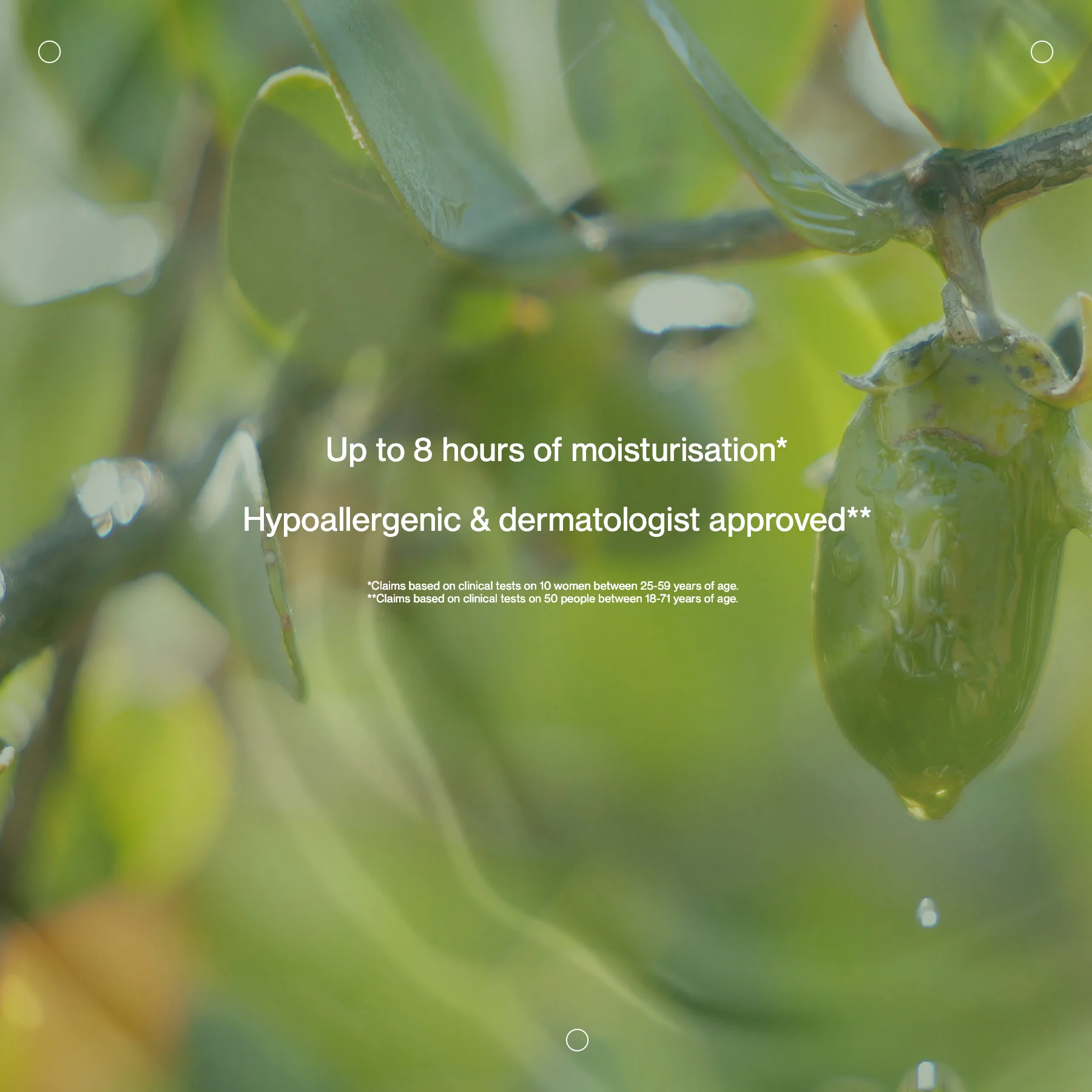 Calming Jojoba - Image 4