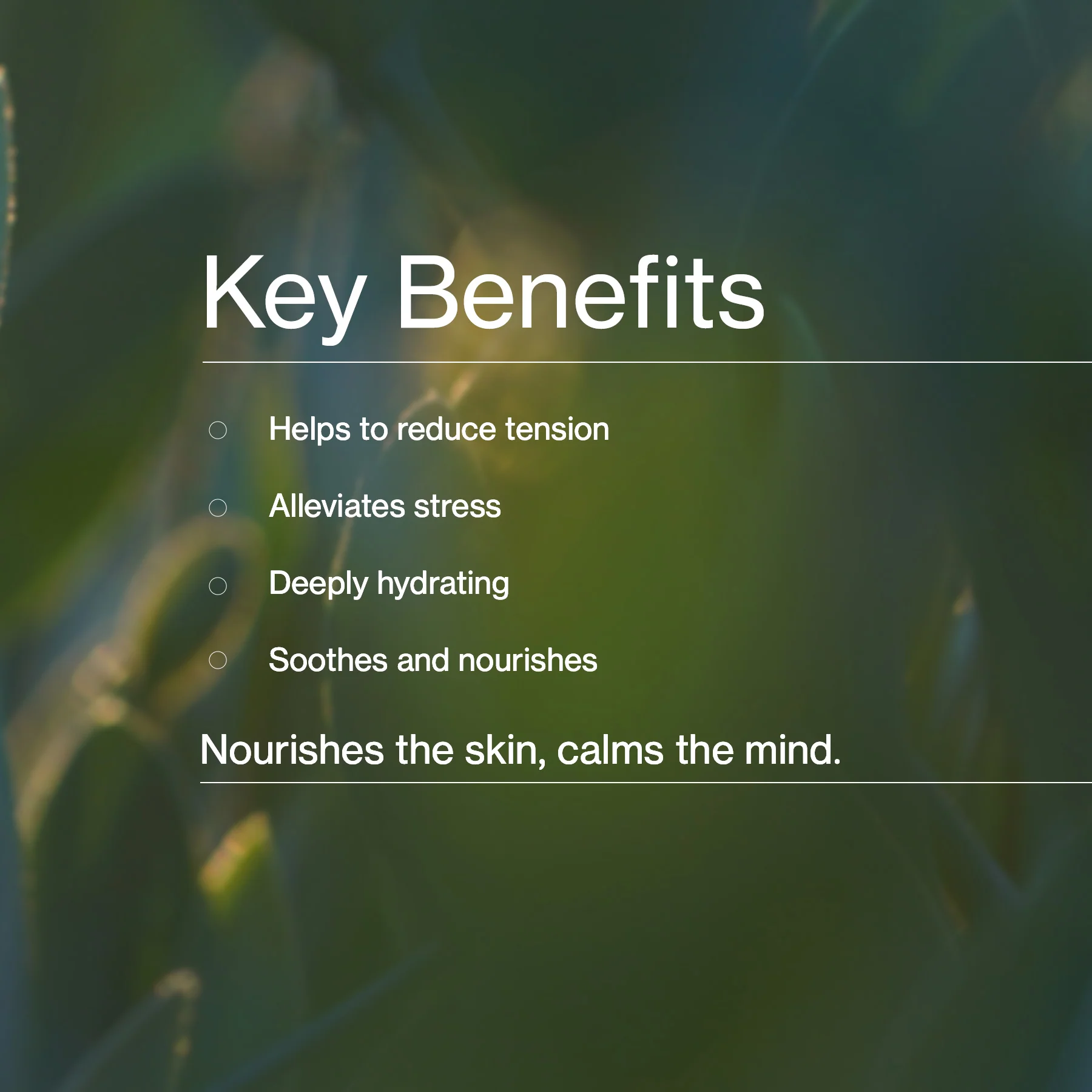Calming Jojoba - Image 5