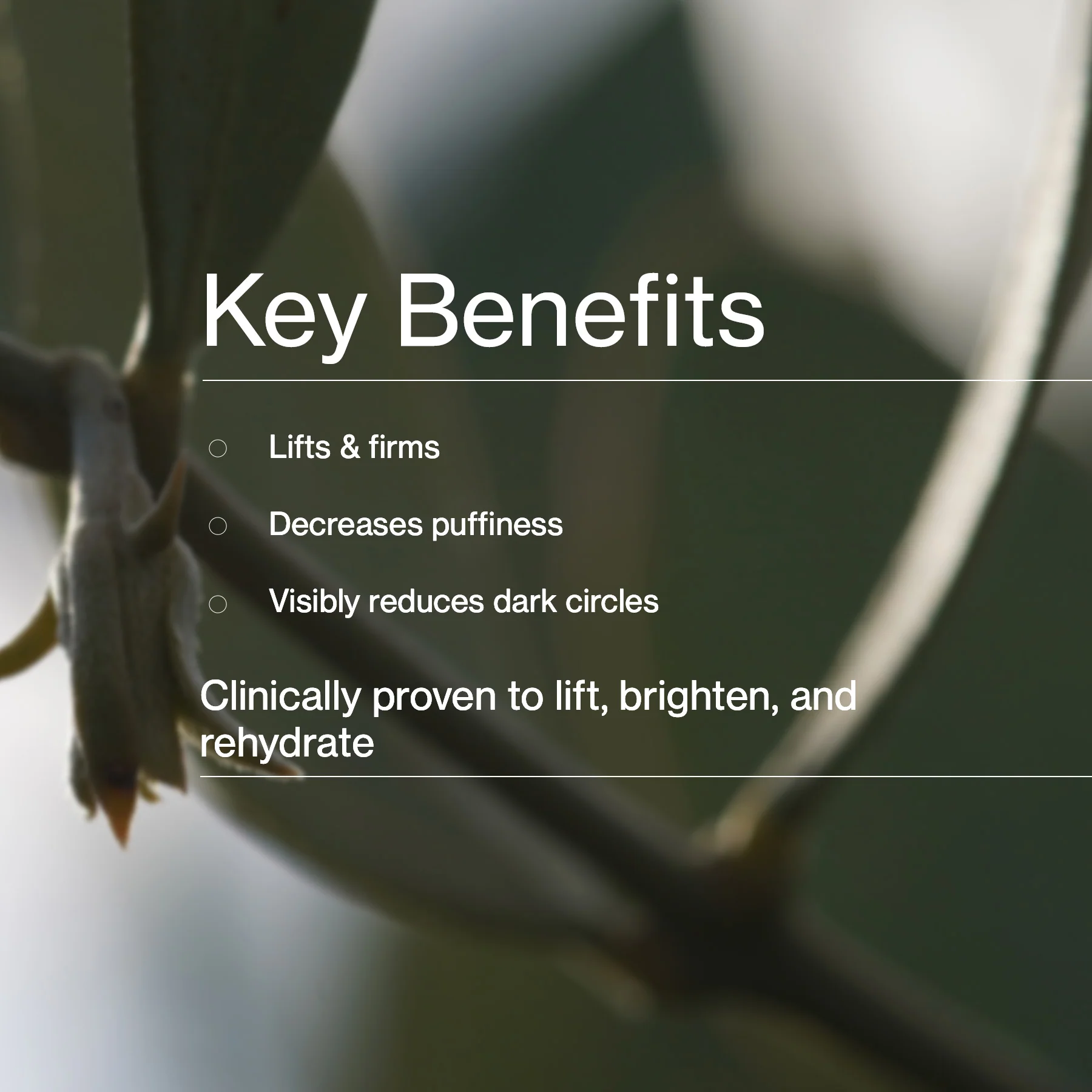 Firming Eye Balm - Image 4