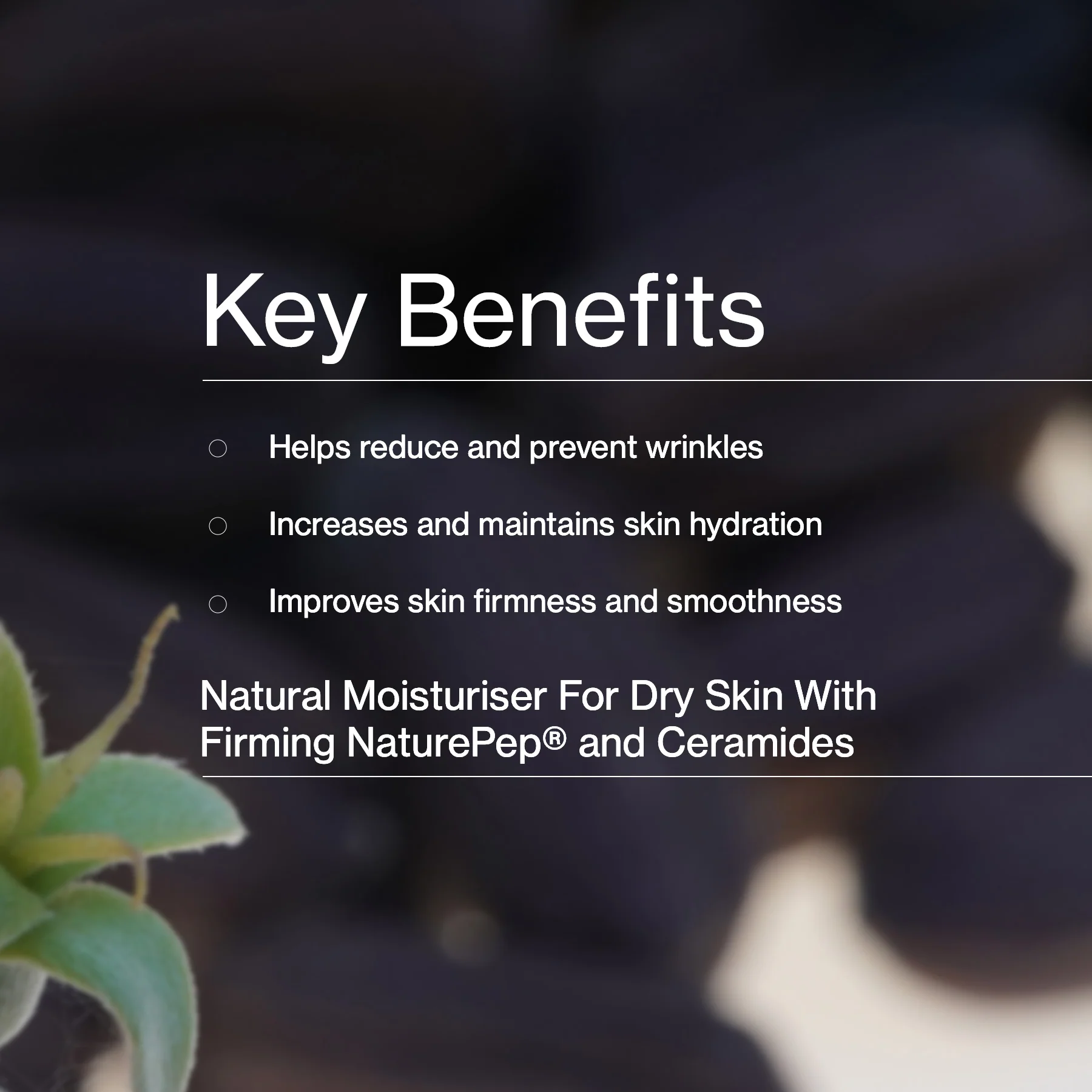Hydrating Peptide Day Cream - Image 5