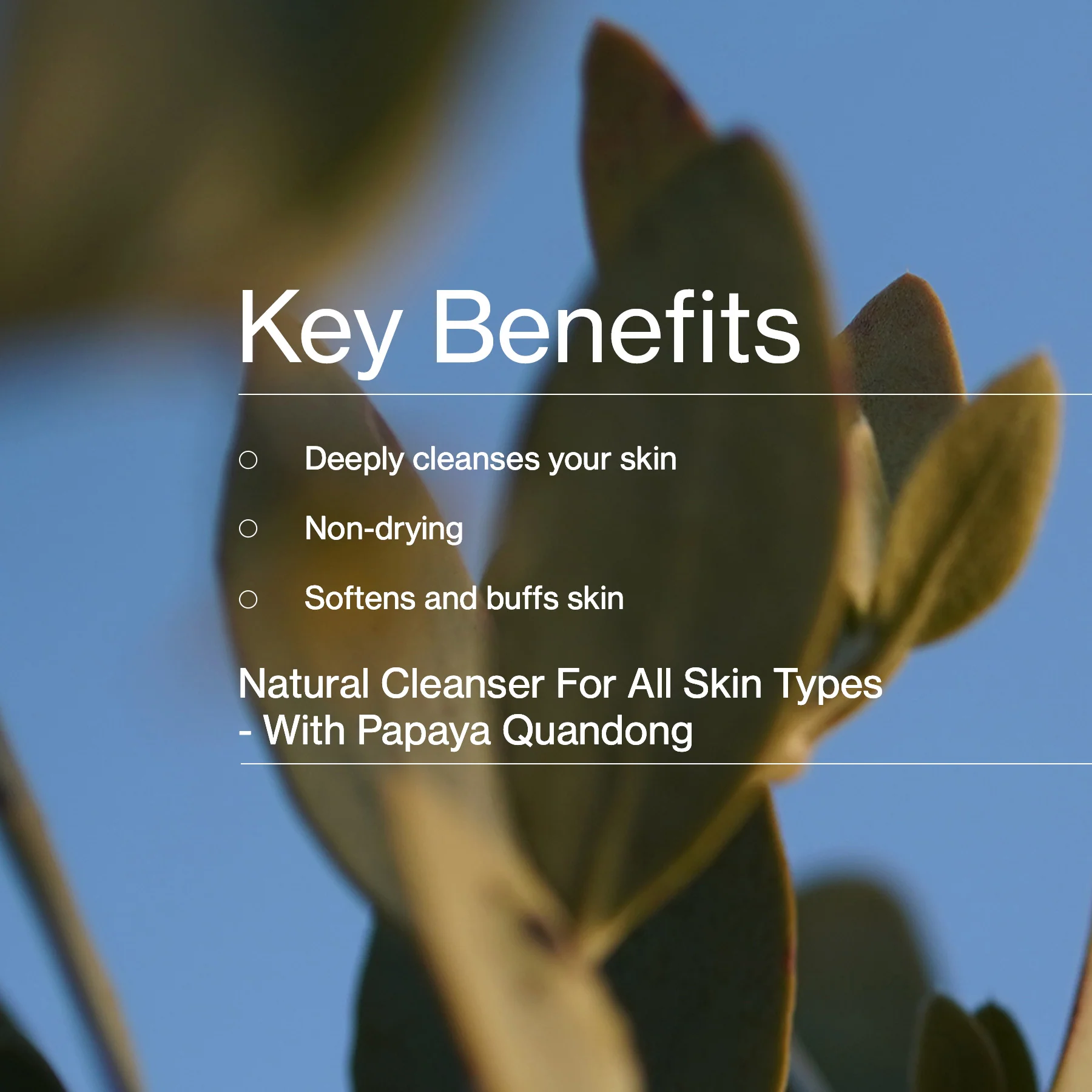 Jojoba Bead Cleanser - Image 3