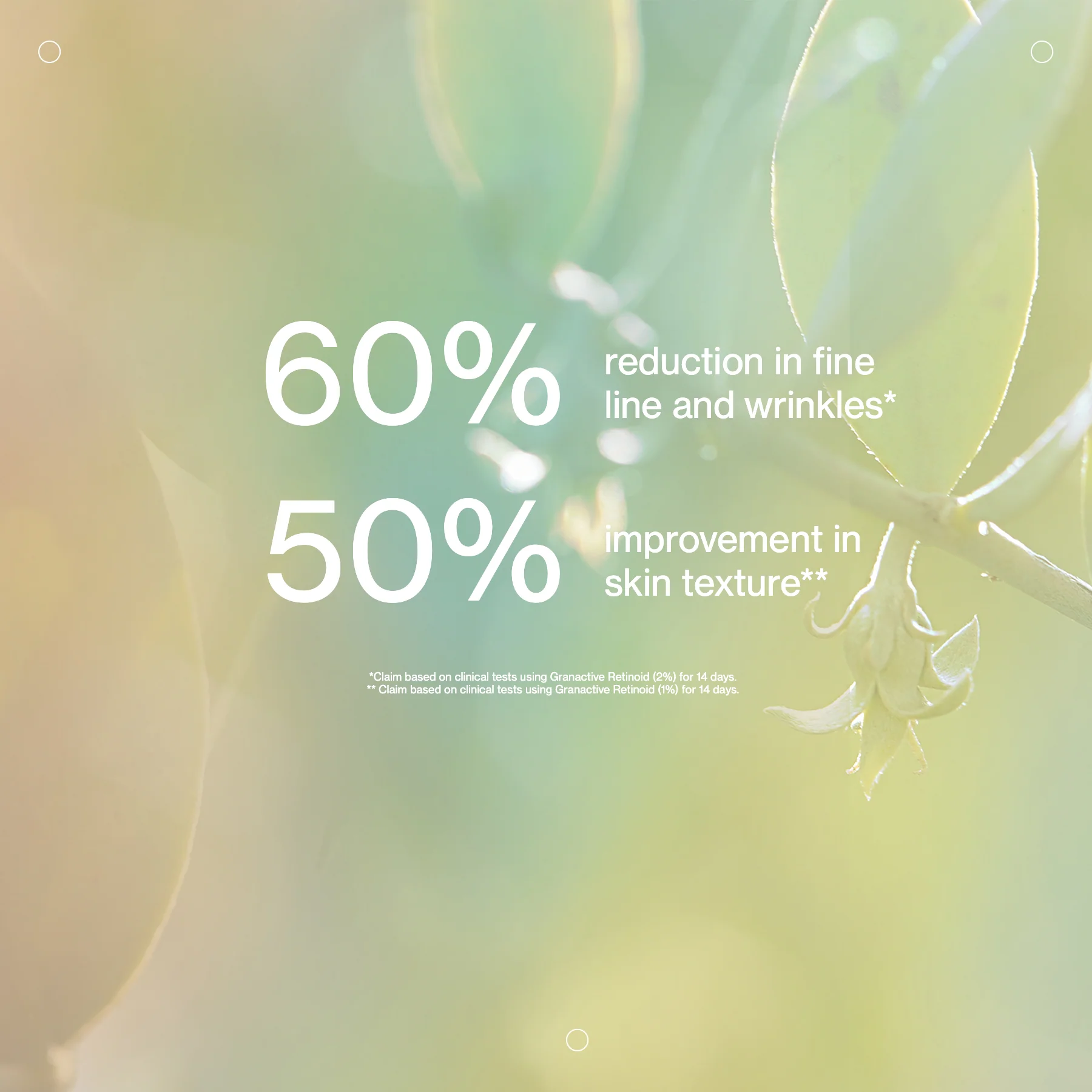Jojoba Boost Skin Renewal - Image 5