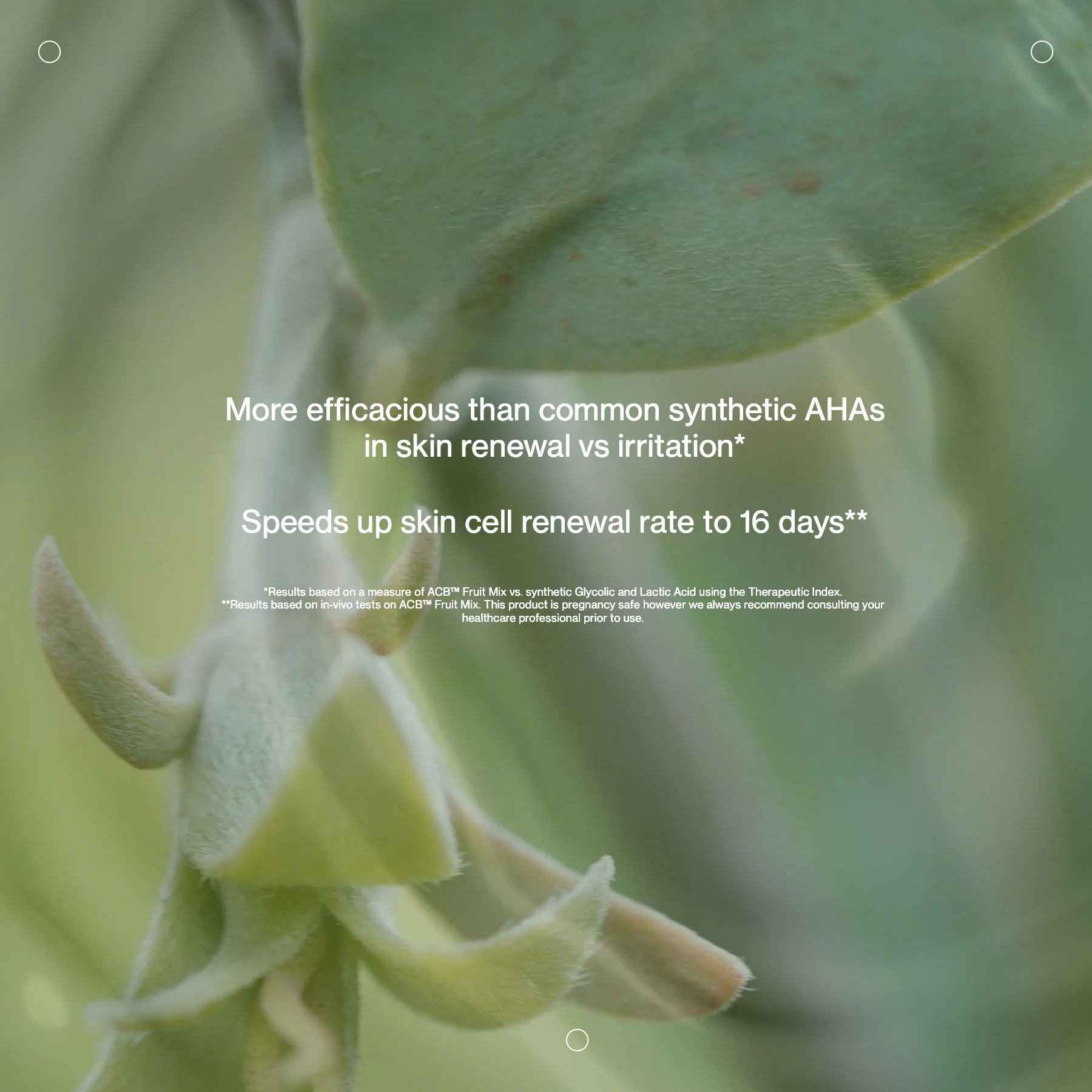 Jojoba & Enzyme Radiance Mask - Image 4