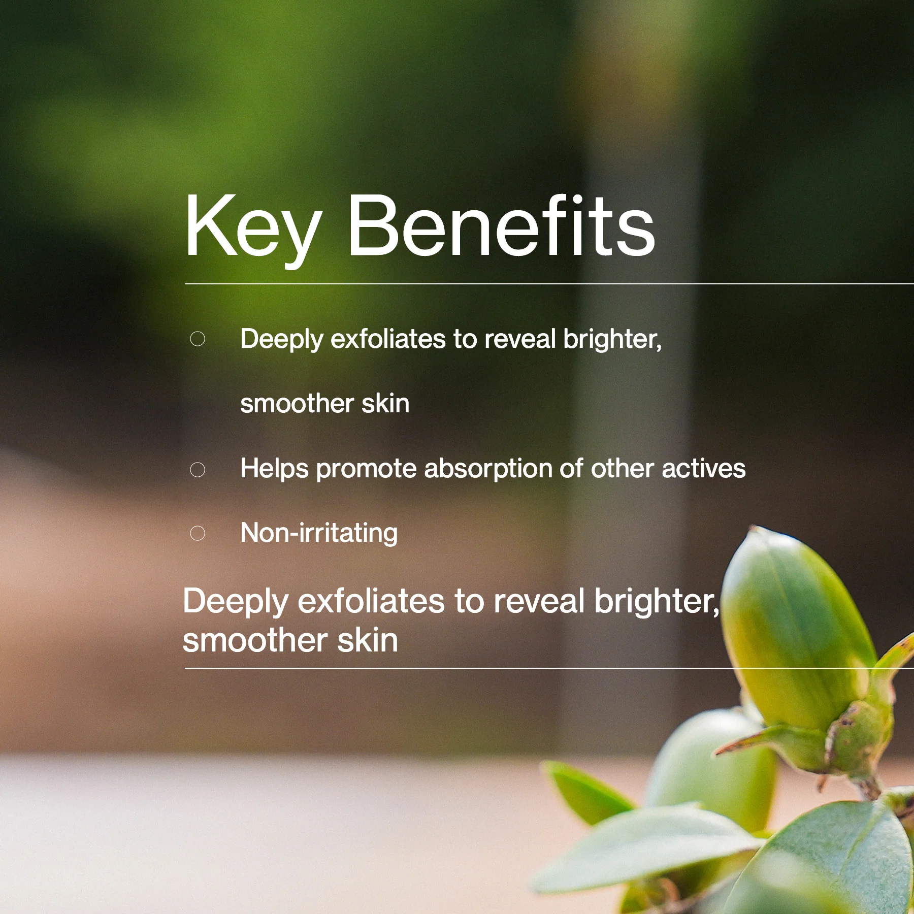 Jojoba & Enzyme Radiance Mask - Image 5