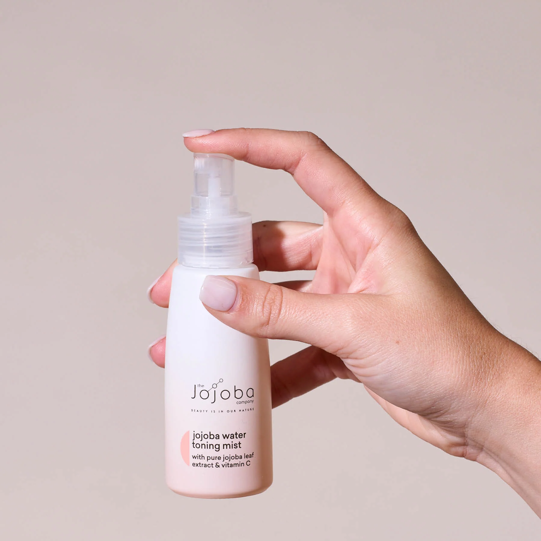 Timeless Antioxidant Ritual - Image 4